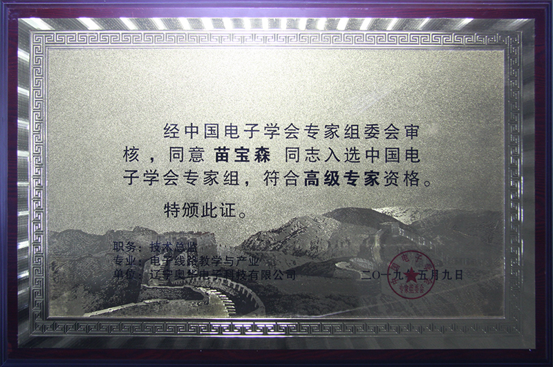 高級專家